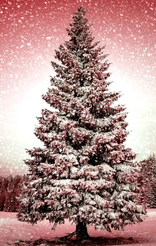 Christmas Tree
