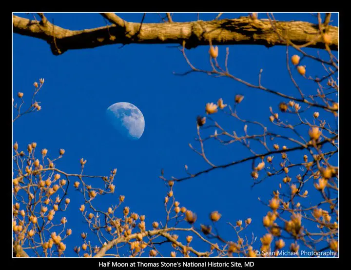 moon in sky